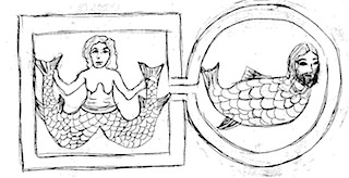 fishes4